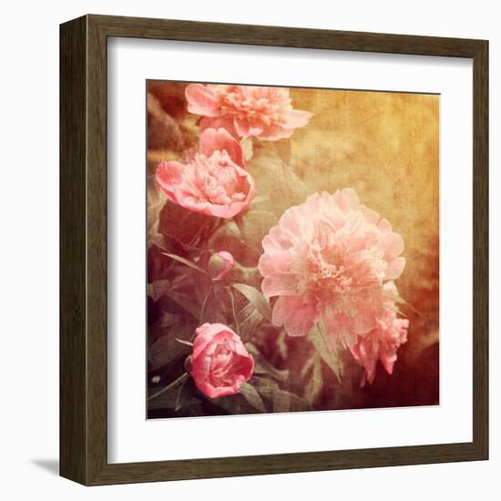 Art Floral Vintage Background with Pink Peonies-Irina QQQ-Framed Art Print