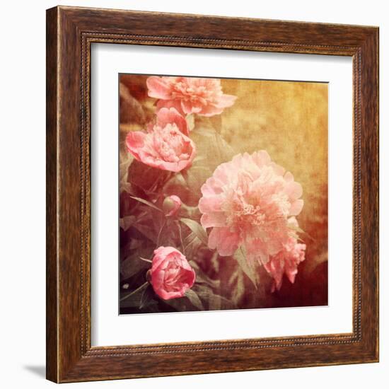 Art Floral Vintage Background with Pink Peonies-Irina QQQ-Framed Art Print