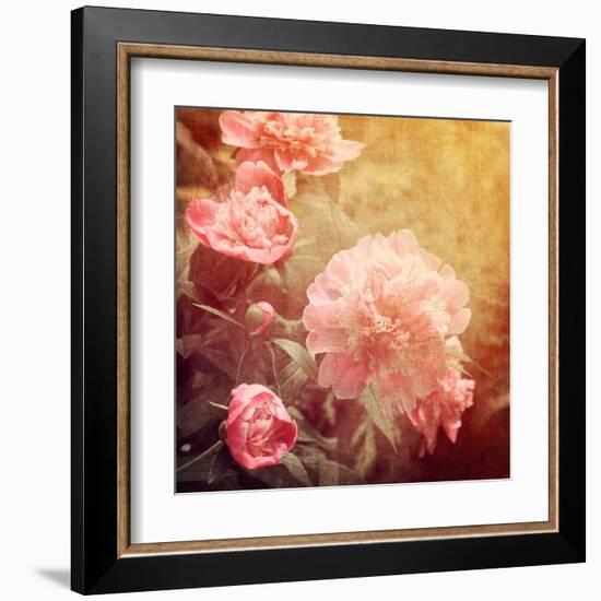 Art Floral Vintage Background with Pink Peonies-Irina QQQ-Framed Art Print