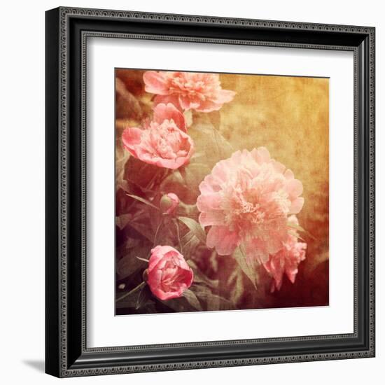 Art Floral Vintage Background with Pink Peonies-Irina QQQ-Framed Art Print