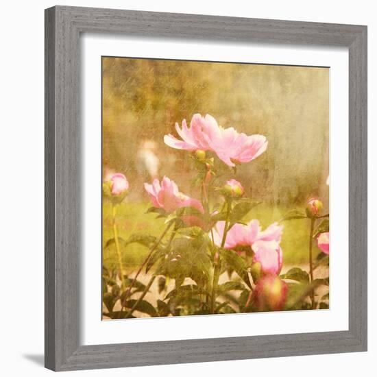 Art Floral Vintage Background with Pink Peonies-Irina QQQ-Framed Art Print