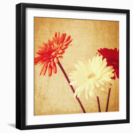 Art Floral Vintage Background with Red and White Gerbera in Sepia-Irina QQQ-Framed Art Print