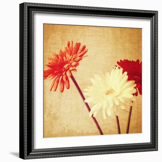 Art Floral Vintage Background with Red and White Gerbera in Sepia-Irina QQQ-Framed Art Print
