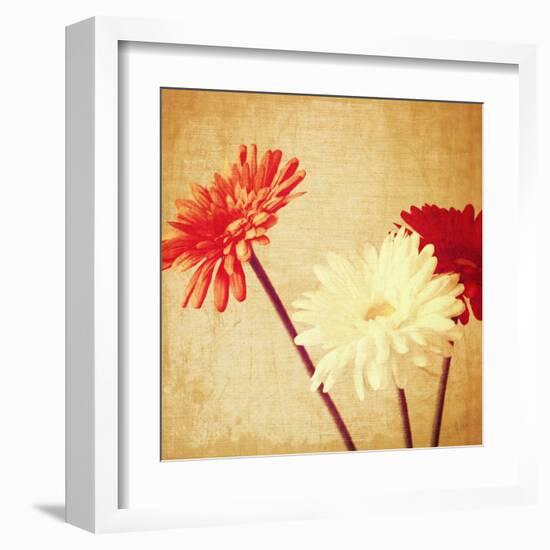 Art Floral Vintage Background with Red and White Gerbera in Sepia-Irina QQQ-Framed Art Print