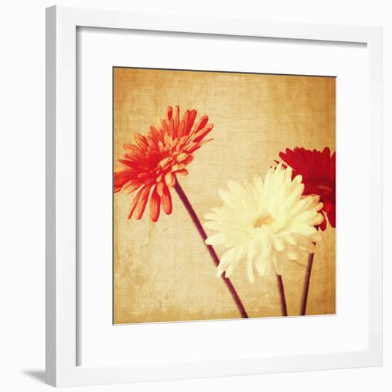 Art Floral Vintage Background with Red and White Gerbera in Sepia-Irina QQQ-Framed Premium Giclee Print