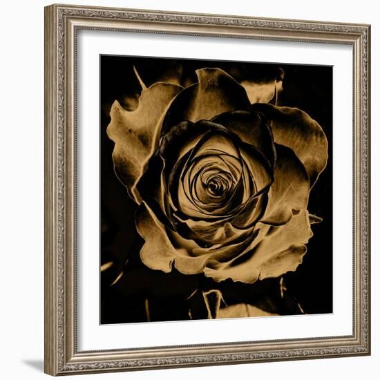 Art Floral Vintage Colorful Background-Irina QQQ-Framed Art Print