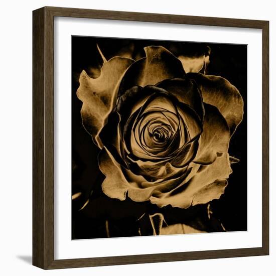 Art Floral Vintage Colorful Background-Irina QQQ-Framed Art Print