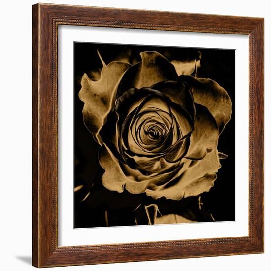 Art Floral Vintage Colorful Background-Irina QQQ-Framed Art Print