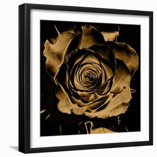 Art Floral Vintage Colorful Background-Irina QQQ-Framed Art Print