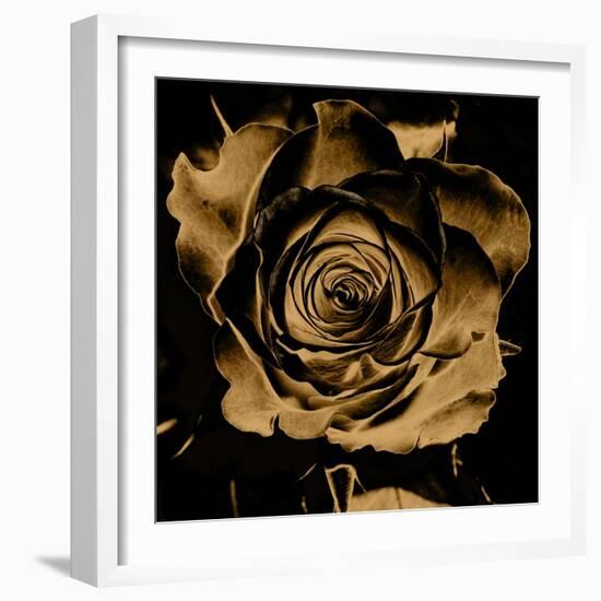 Art Floral Vintage Colorful Background-Irina QQQ-Framed Art Print