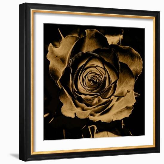 Art Floral Vintage Colorful Background-Irina QQQ-Framed Art Print