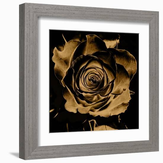 Art Floral Vintage Colorful Background-Irina QQQ-Framed Art Print