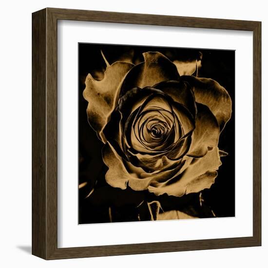 Art Floral Vintage Colorful Background-Irina QQQ-Framed Art Print