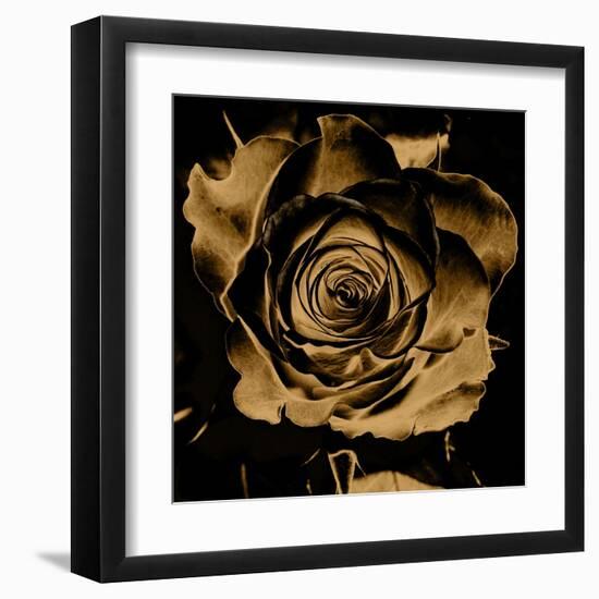 Art Floral Vintage Colorful Background-Irina QQQ-Framed Art Print