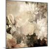 Art Floral Vintage Light Sepia Blurred Background with White Asters and Roses-Irina QQQ-Mounted Art Print