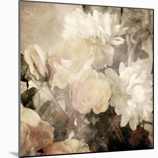 Art Floral Vintage Light Sepia Blurred Background with White Asters and Roses-Irina QQQ-Mounted Art Print