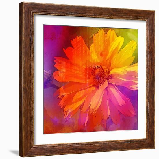 Art Floral Vintage Rainbow Background with Asters-Irina QQQ-Framed Art Print