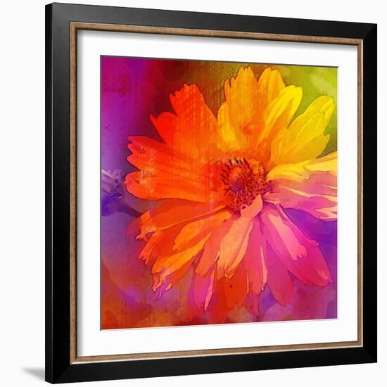 Art Floral Vintage Rainbow Background with Asters-Irina QQQ-Framed Art Print