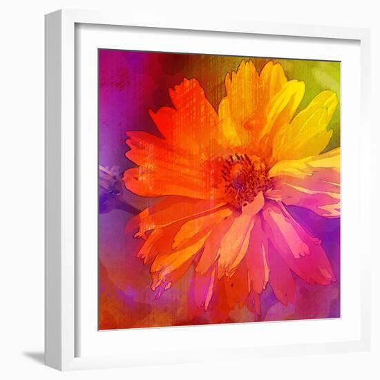 Art Floral Vintage Rainbow Background with Asters-Irina QQQ-Framed Art Print