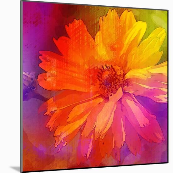 Art Floral Vintage Rainbow Background with Asters-Irina QQQ-Mounted Art Print