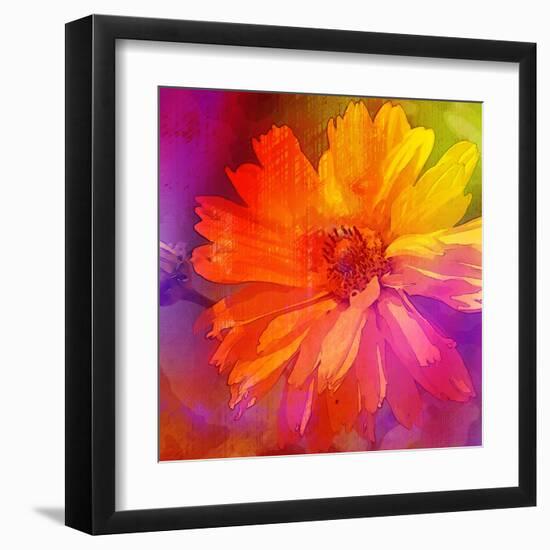 Art Floral Vintage Rainbow Background with Asters-Irina QQQ-Framed Art Print