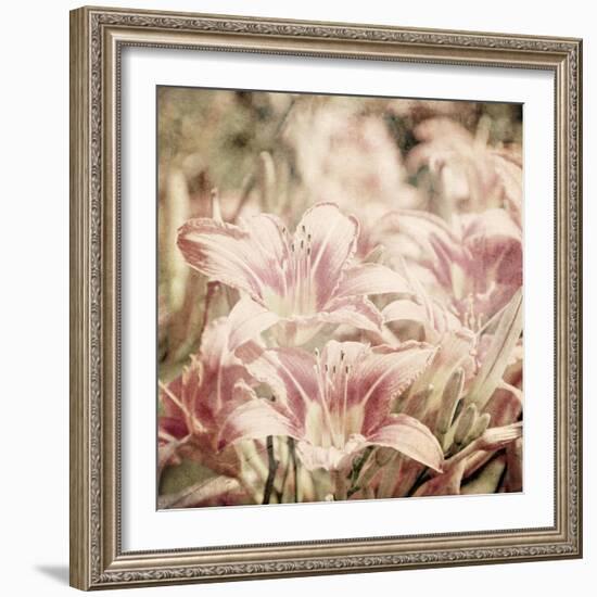 Art Floral Vintage Sepia Background with Light Pink Lilies-Irina QQQ-Framed Art Print