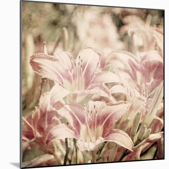 Art Floral Vintage Sepia Background with Light Pink Lilies-Irina QQQ-Mounted Art Print