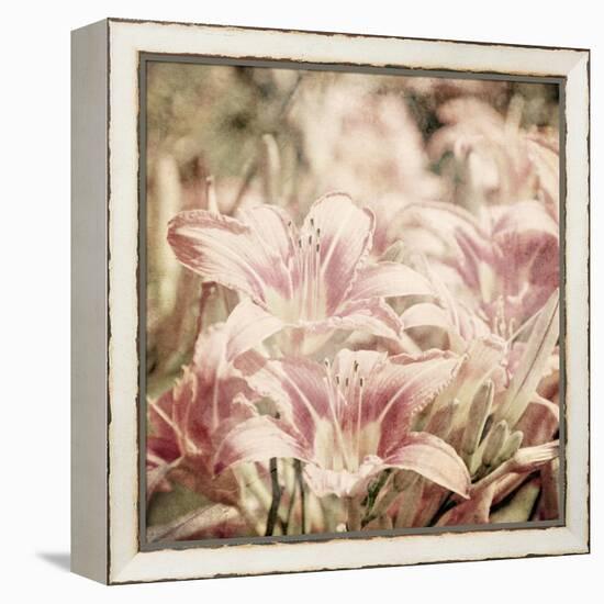 Art Floral Vintage Sepia Background with Light Pink Lilies-Irina QQQ-Framed Stretched Canvas