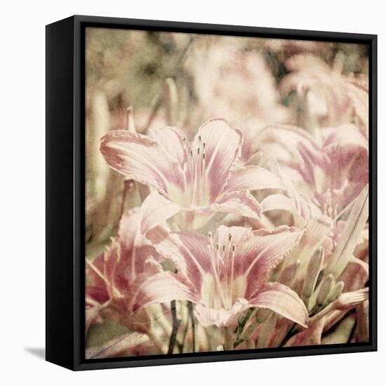 Art Floral Vintage Sepia Background with Light Pink Lilies-Irina QQQ-Framed Stretched Canvas