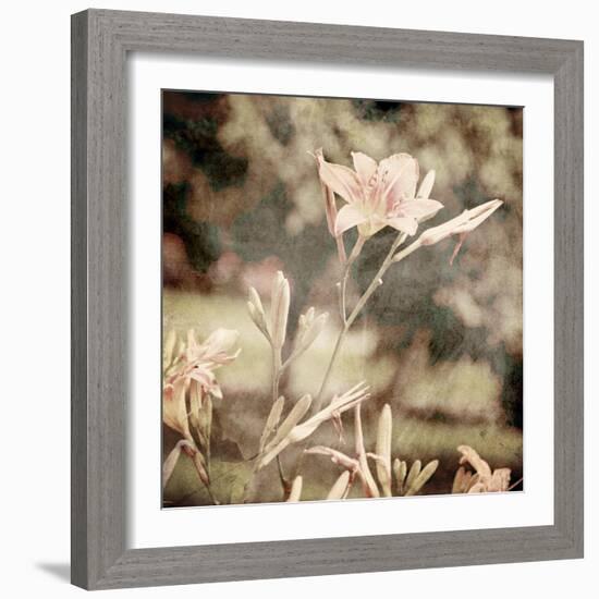 Art Floral Vintage Sepia Background with Light Pink Lilies-Irina QQQ-Framed Art Print