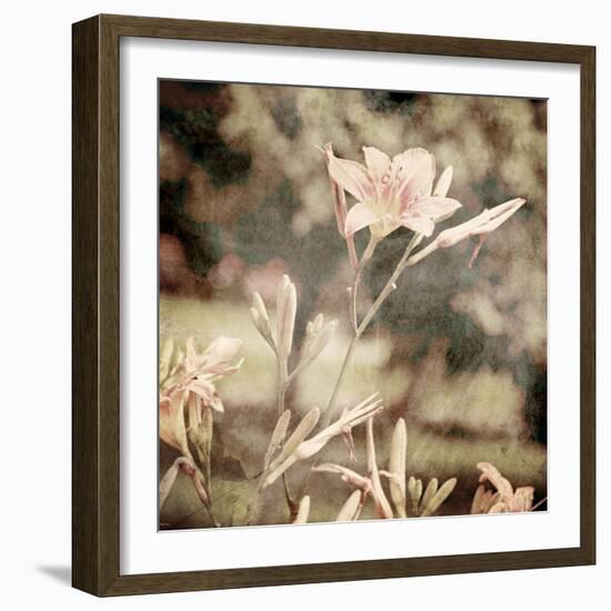 Art Floral Vintage Sepia Background with Light Pink Lilies-Irina QQQ-Framed Art Print