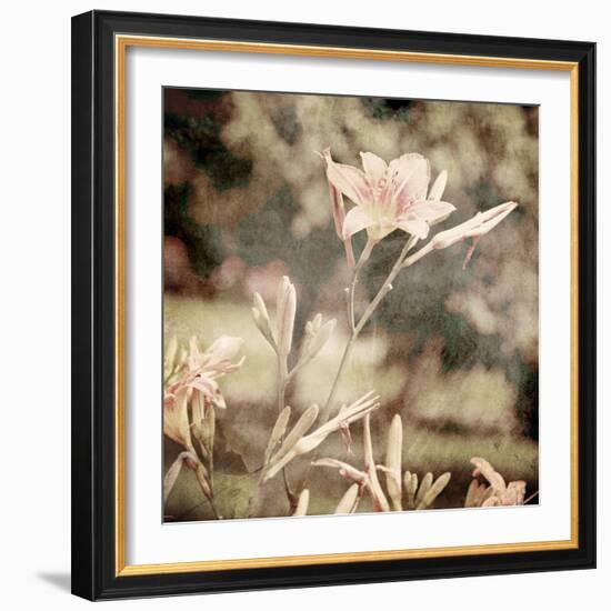 Art Floral Vintage Sepia Background with Light Pink Lilies-Irina QQQ-Framed Art Print