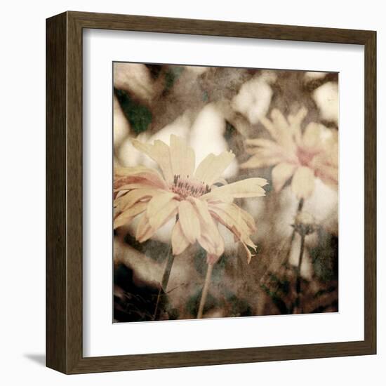 Art Floral Vintage Sepia Background with Light Yellow Chamomiles-Irina QQQ-Framed Art Print