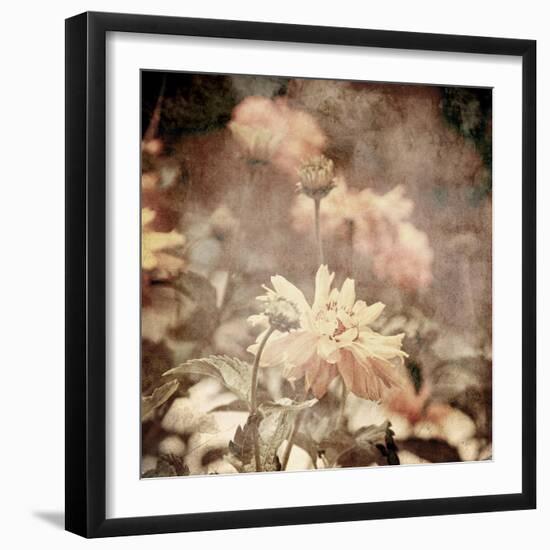 Art Floral Vintage Sepia Background with Light Yellow Chamomiles-Irina QQQ-Framed Premium Giclee Print