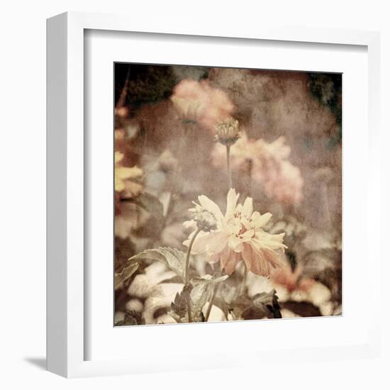 Art Floral Vintage Sepia Background with Light Yellow Chamomiles-Irina QQQ-Framed Art Print