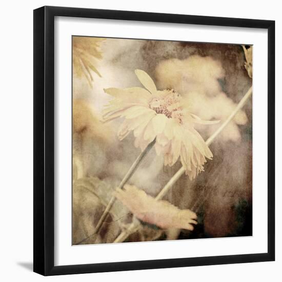 Art Floral Vintage Sepia Background with Light Yellow Chamomiles-Irina QQQ-Framed Art Print