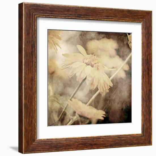 Art Floral Vintage Sepia Background with Light Yellow Chamomiles-Irina QQQ-Framed Art Print