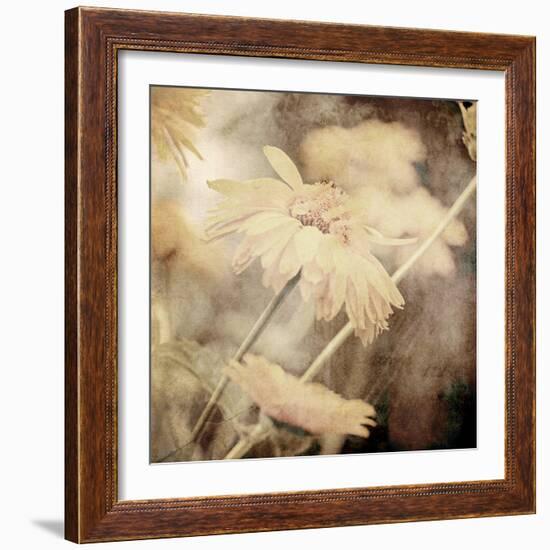 Art Floral Vintage Sepia Background with Light Yellow Chamomiles-Irina QQQ-Framed Premium Giclee Print