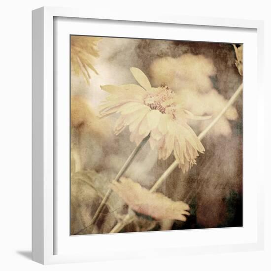 Art Floral Vintage Sepia Background with Light Yellow Chamomiles-Irina QQQ-Framed Premium Giclee Print