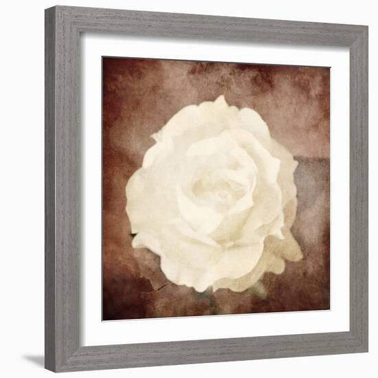 Art Floral Vintage Sepia Background with One White Rose-Irina QQQ-Framed Art Print