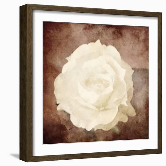 Art Floral Vintage Sepia Background with One White Rose-Irina QQQ-Framed Art Print