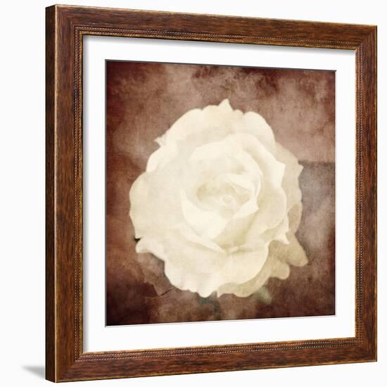 Art Floral Vintage Sepia Background with One White Rose-Irina QQQ-Framed Art Print