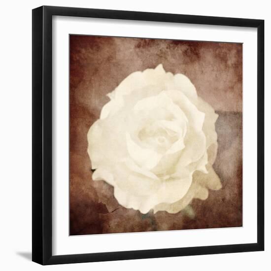 Art Floral Vintage Sepia Background with One White Rose-Irina QQQ-Framed Art Print