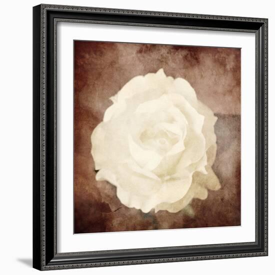 Art Floral Vintage Sepia Background with One White Rose-Irina QQQ-Framed Art Print