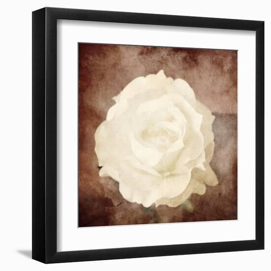 Art Floral Vintage Sepia Background with One White Rose-Irina QQQ-Framed Art Print