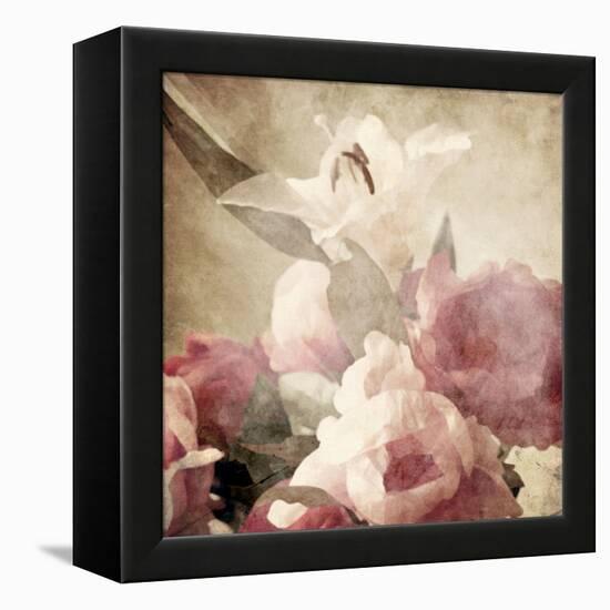 Art Floral Vintage Sepia Background with Pink Peonies and White Lily-Irina QQQ-Framed Stretched Canvas