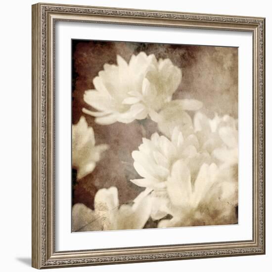 Art Floral Vintage Sepia Background with White Asters-Irina QQQ-Framed Premium Giclee Print