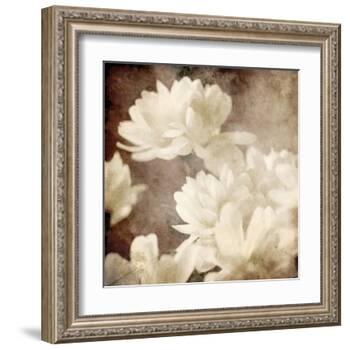 Art Floral Vintage Sepia Background with White Asters-Irina QQQ-Framed Art Print