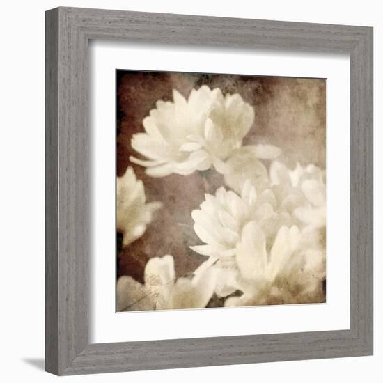 Art Floral Vintage Sepia Background with White Asters-Irina QQQ-Framed Art Print