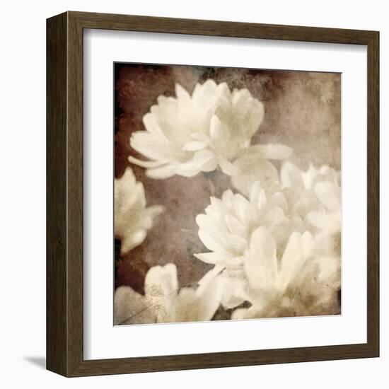 Art Floral Vintage Sepia Background with White Asters-Irina QQQ-Framed Art Print